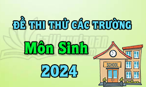 Đề thi thử TN THPT 2024 - Môn Sinh Học - Các trường trên cả nước - File word có lời giải